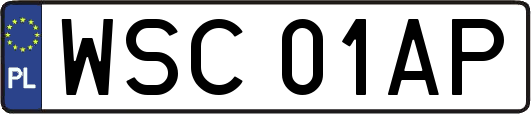 WSC01AP