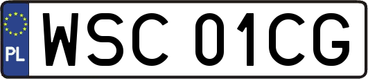 WSC01CG