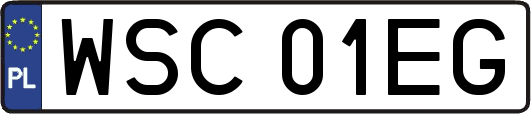 WSC01EG