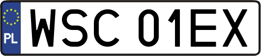 WSC01EX