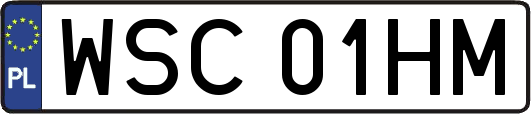 WSC01HM