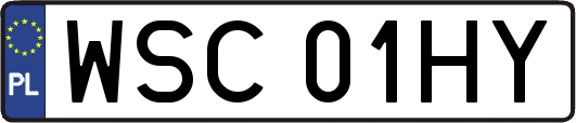 WSC01HY