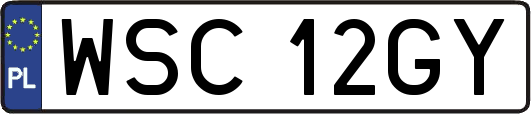 WSC12GY
