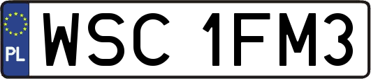 WSC1FM3