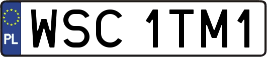 WSC1TM1