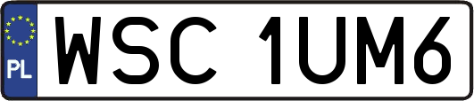 WSC1UM6