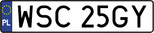 WSC25GY
