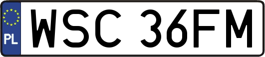 WSC36FM