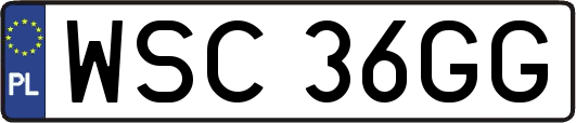 WSC36GG