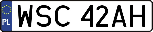 WSC42AH