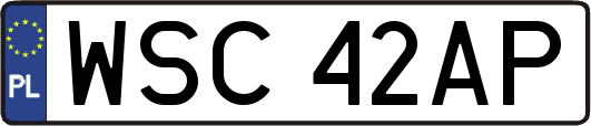 WSC42AP