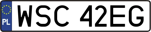 WSC42EG
