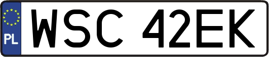 WSC42EK