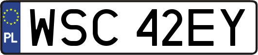 WSC42EY
