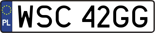 WSC42GG