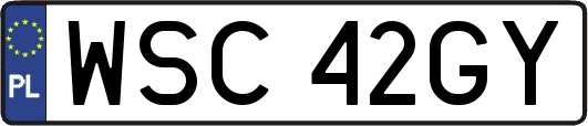 WSC42GY