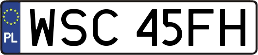 WSC45FH