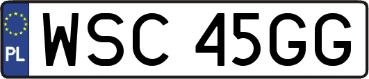 WSC45GG