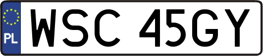 WSC45GY