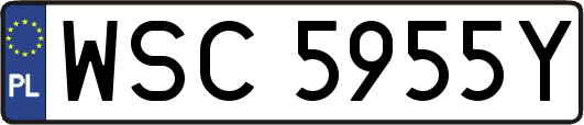 WSC5955Y