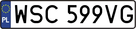 WSC599VG