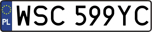 WSC599YC