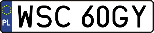 WSC60GY