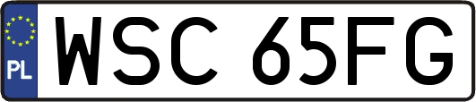 WSC65FG