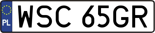 WSC65GR
