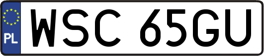 WSC65GU