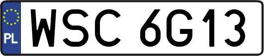 WSC6G13