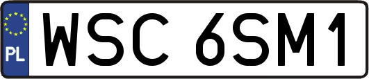WSC6SM1