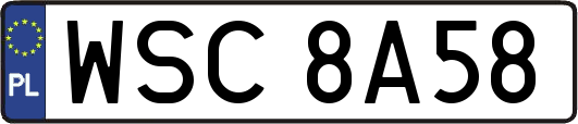 WSC8A58