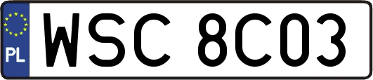 WSC8C03