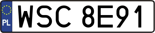 WSC8E91