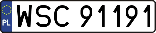 WSC91191