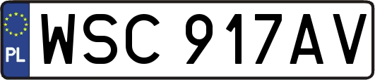 WSC917AV