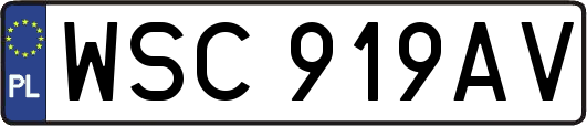WSC919AV