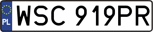 WSC919PR