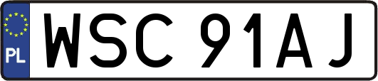 WSC91AJ