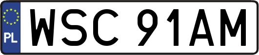 WSC91AM