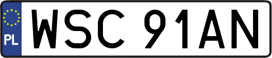 WSC91AN