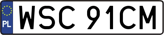 WSC91CM