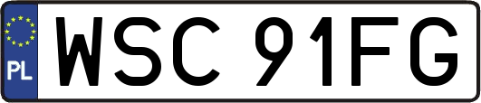 WSC91FG