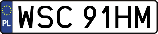 WSC91HM