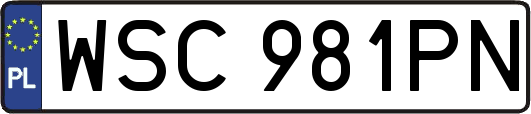 WSC981PN