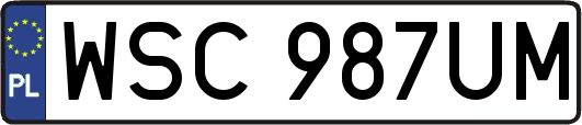 WSC987UM