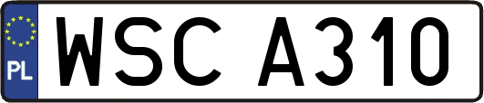 WSCA310