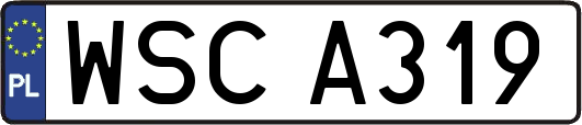 WSCA319
