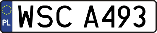 WSCA493